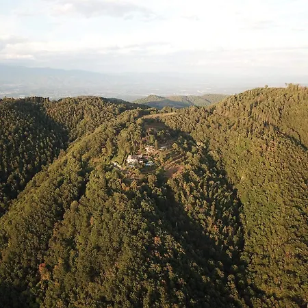 Podere L'aquila Gaiole in Chianti