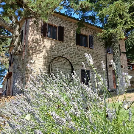 Podere L'aquila